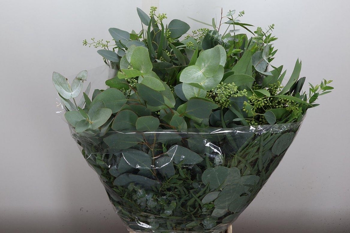 <h4>Euca Mix Lang 300 Gr.</h4>