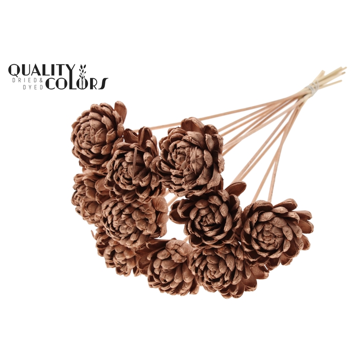<h4>Shola New Beauty Rose Ø8cm on stem Copper</h4>