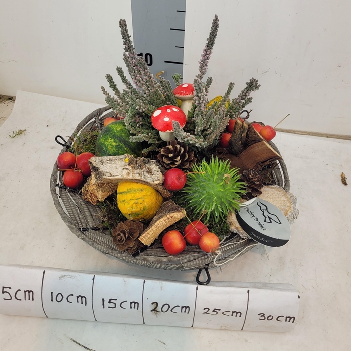 <h4>ARR KAMERPL</h4>