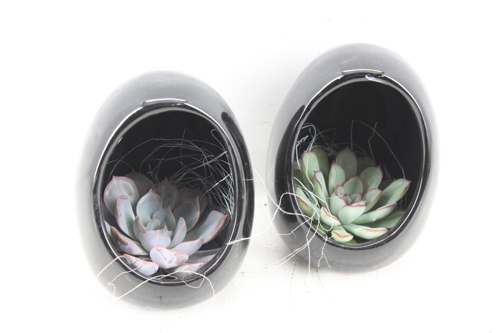 <h4>arr3 Demi - Egg black</h4>