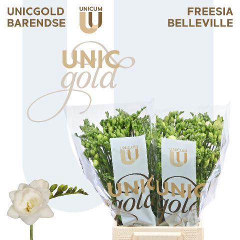 <h4>UG Barendse - Belleville 50</h4>