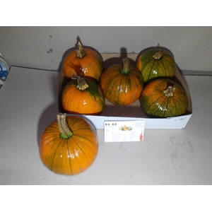 CUC HALLOWEEN