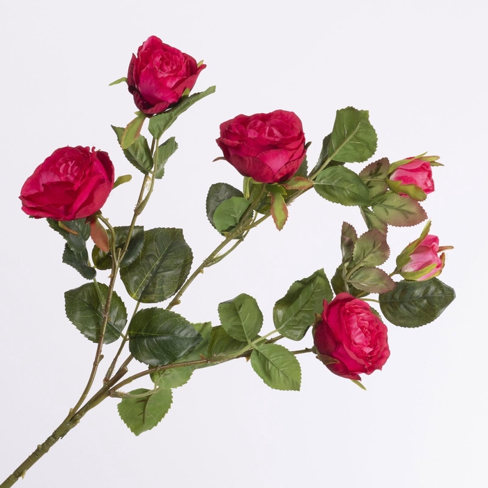 <h4>Rosa Spray Cerise FL440243CER</h4>