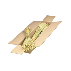 Rice Sb Natural