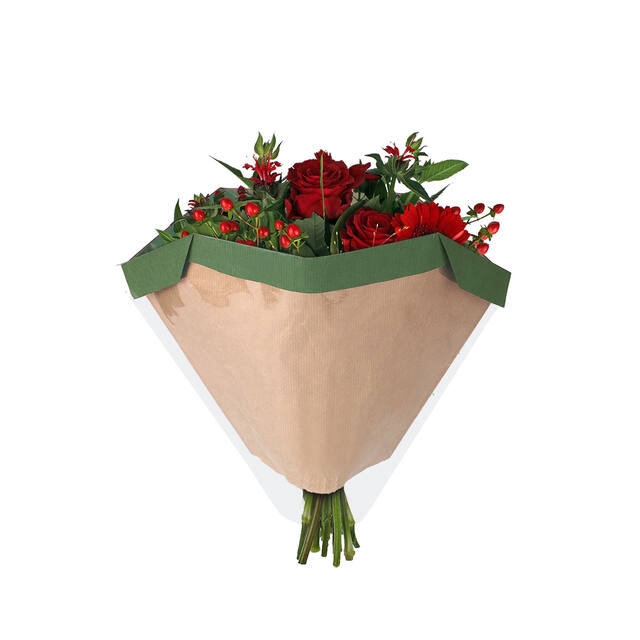 <h4>Hoes 27x44Â½x11cm OPP30/45gr kraft Piccolo groen 250/doos</h4>