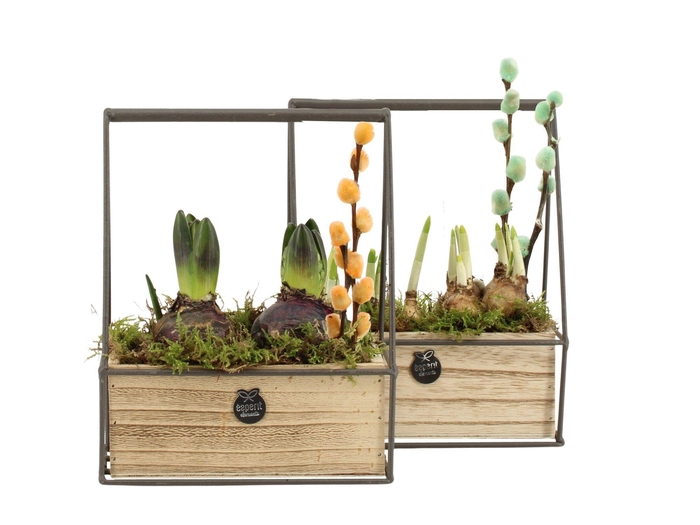 <h4>11676: Outdoor spring arrangement</h4>