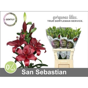 Li La San Sebastian
