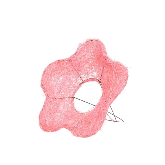 <h4>Bloem sisal d15cm</h4>