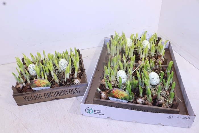 <h4>ARR N TETE A TETE</h4>