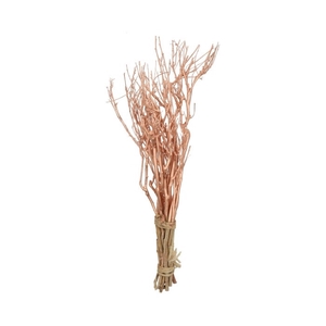 Droogbloem Tea branch 65 cm