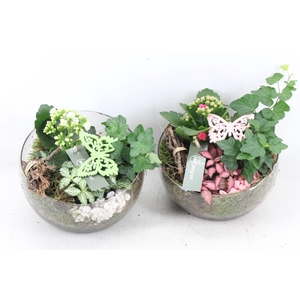 arr2 MB - Glas halve maan steen - roze/wit