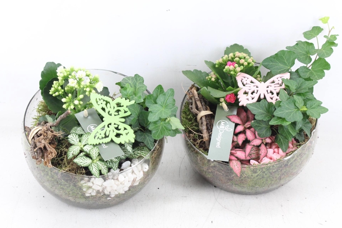 <h4>arr2 MB - Glas halve maan steen - roze/wit</h4>