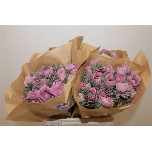 Anem Marianne Powder Wine Red