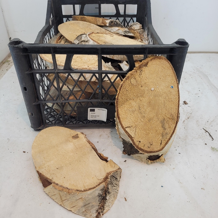 <h4>HUIS EN TUINDECO OV</h4>