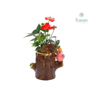 Keramiek boomstam planter met Arrangement