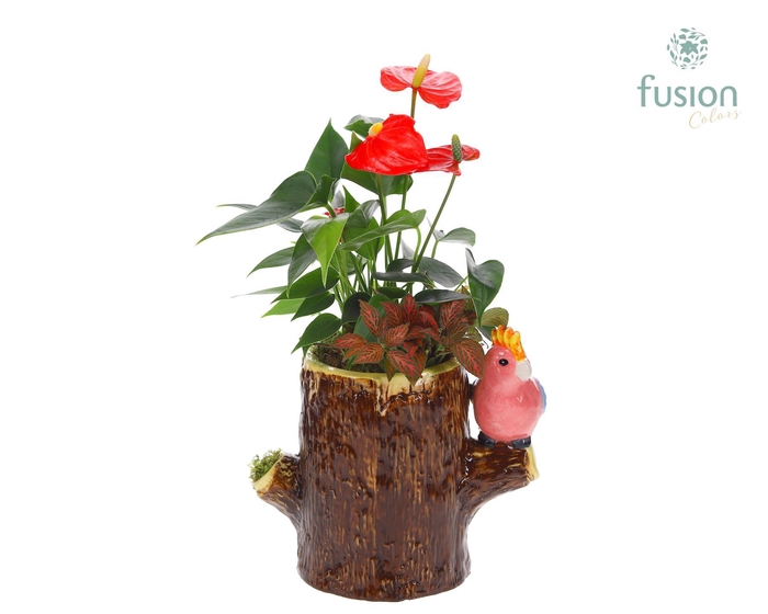 <h4>Keramiek boomstam planter met Arrangement</h4>