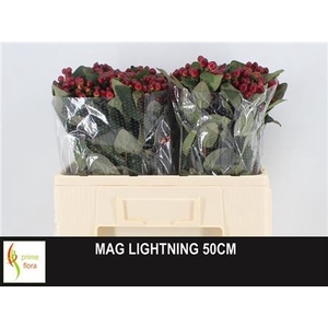 HYP MAG LIGHTNING