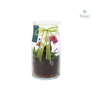 Melkbus Moederdag met arrangement