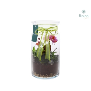 Melkbus Moederdag met arrangement