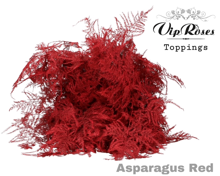 <h4>ASP OV GETOPT LANG RED</h4>