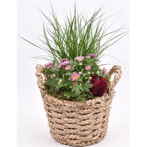 Natuur mand gevl. met oren 18.5cm