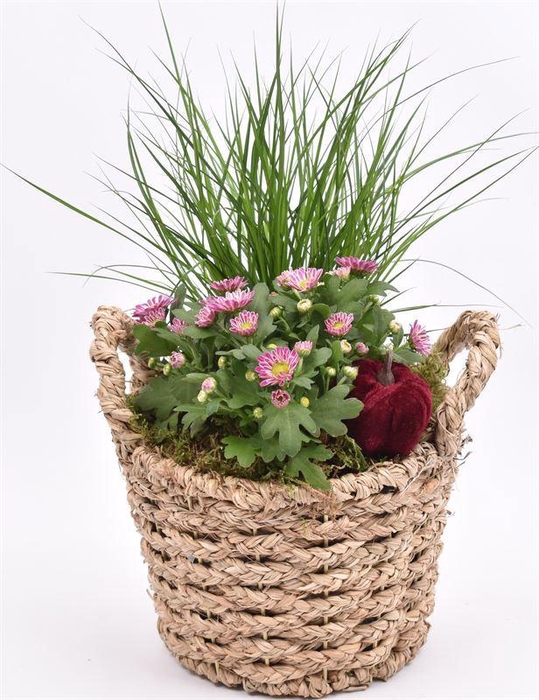 <h4>Natuur mand gevl. met oren 18.5cm</h4>