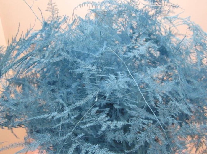 <h4>Asp Lang Get Ice Blue</h4>