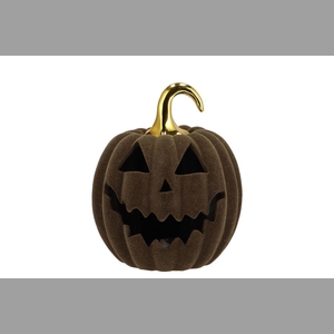 Autumn Flock Scottish Green Pumpkin Face Led 17x17x21cm Nm