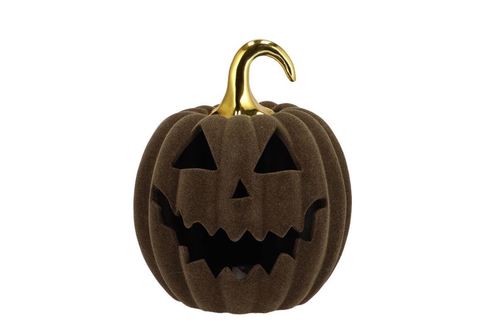 Autumn Flock Scottish Green Pumpkin Face Led 17x17