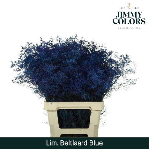 <h4>Lim Bel L70 Blue</h4>