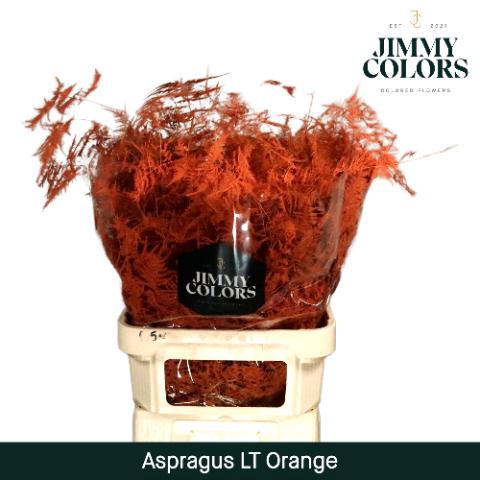 <h4>Aspa Lang Getopt Orange</h4>