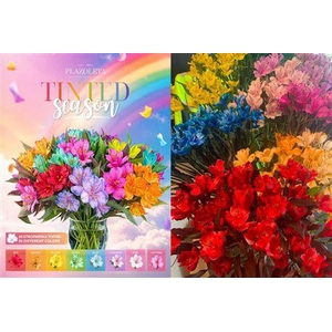 ALSTROEMERIA ASSORTED SELECT TINTED