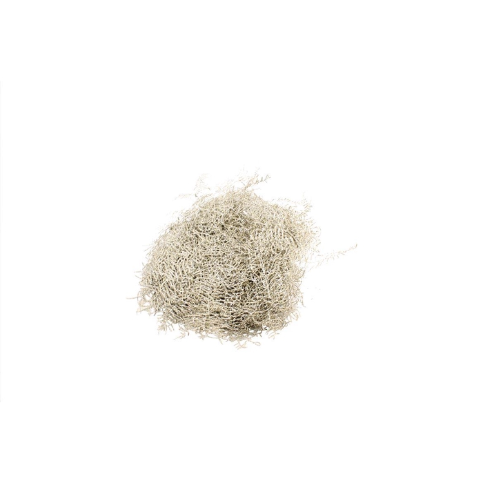 <h4>Koraalvaren Verf Platinum</h4>