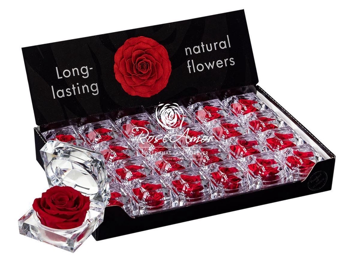 <h4>Display Jewel Red01</h4>