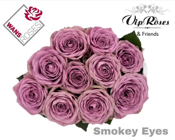 <h4>R GR SMOKEY EYES</h4>