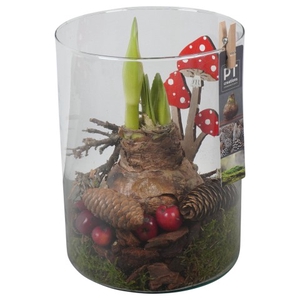 PTAA7590 Arrangementen Hippeastrum