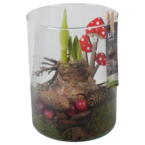 <h4>PTAA7590 Arrangementen Hippeastrum</h4>