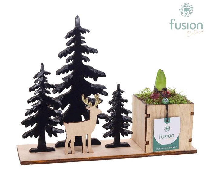 <h4>Kerst planter hout met Hyacinthus</h4>