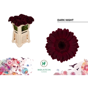 GE MI water Dark Night