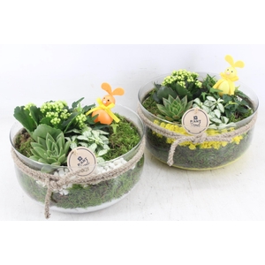 arr2 PL - Glas bose XL touw - geel/wit