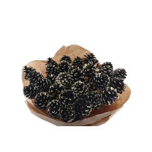 Pine Cone Black Gold Tip