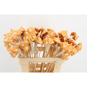 Stick Mushroom Lotus Yellow