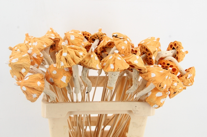 <h4>Stick Mushroom Lotus Yellow</h4>