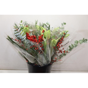 Amaryllus Boeket Wit