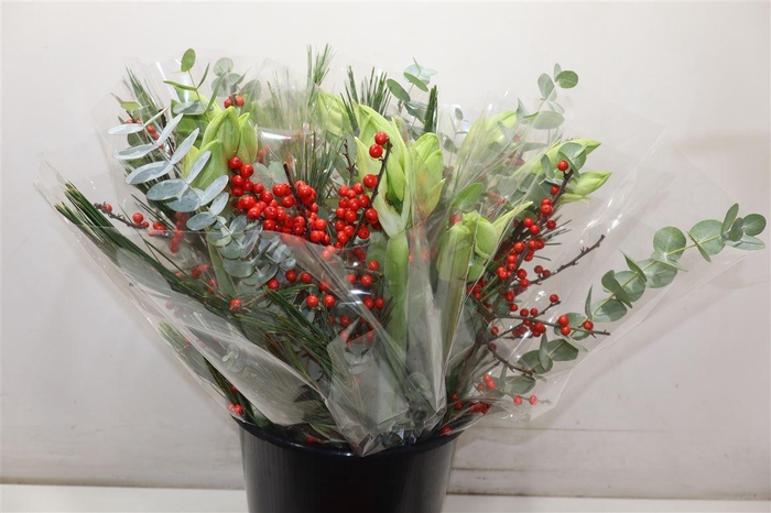 <h4>Amaryllus Boeket Wit</h4>