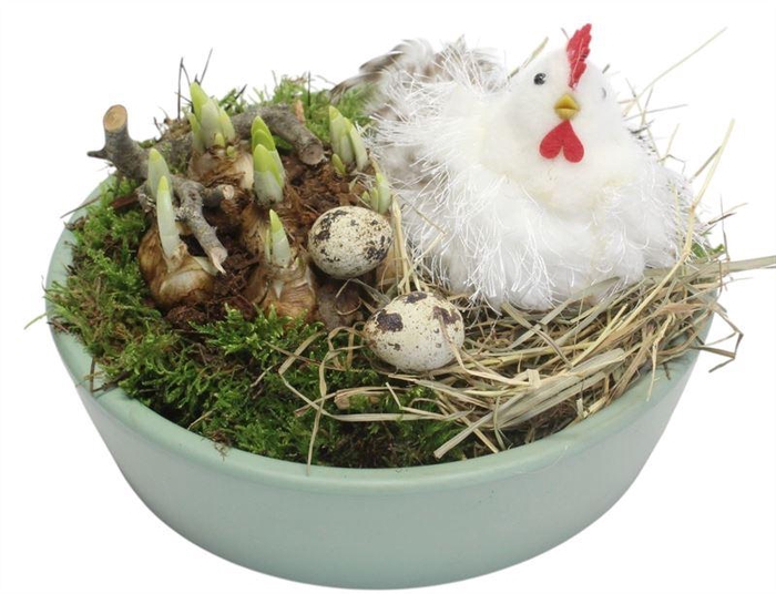 <h4>0799 GROEN KON LAAG TETE</h4>