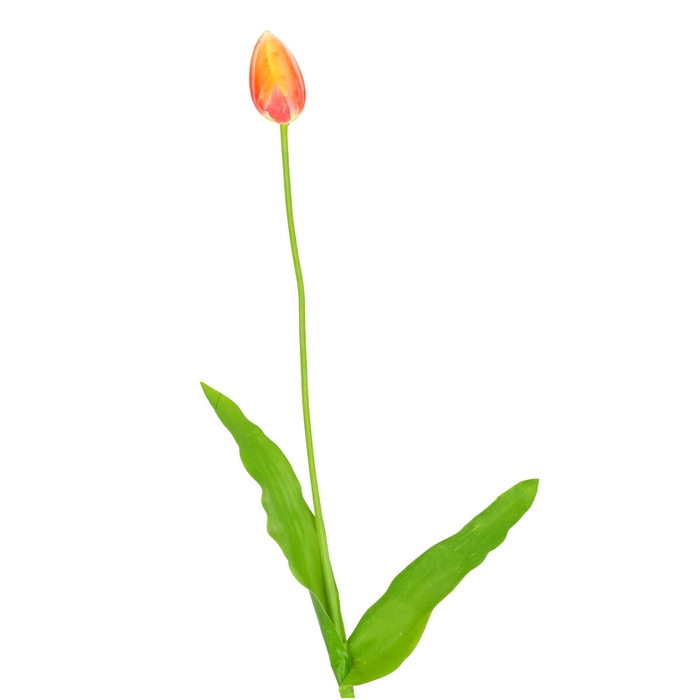 <h4>Kunstbloemen Tulipa 66cm</h4>