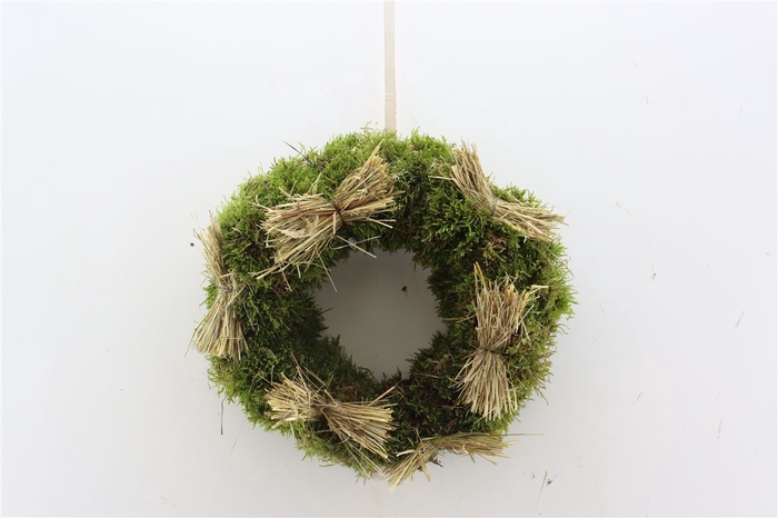 <h4>Wr Moss With Straw 30cm Natural</h4>