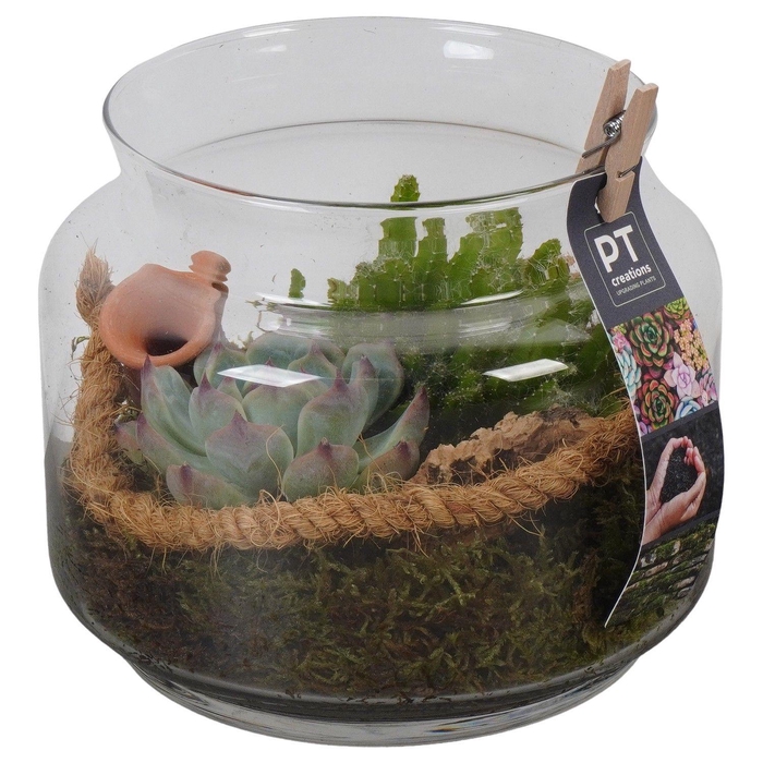 <h4>PTGIG2135 Arrangement Greens in glass in glazen vaas</h4>