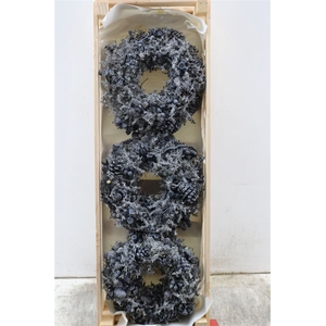 Wr Wax Mixed Fruit Black 23cm